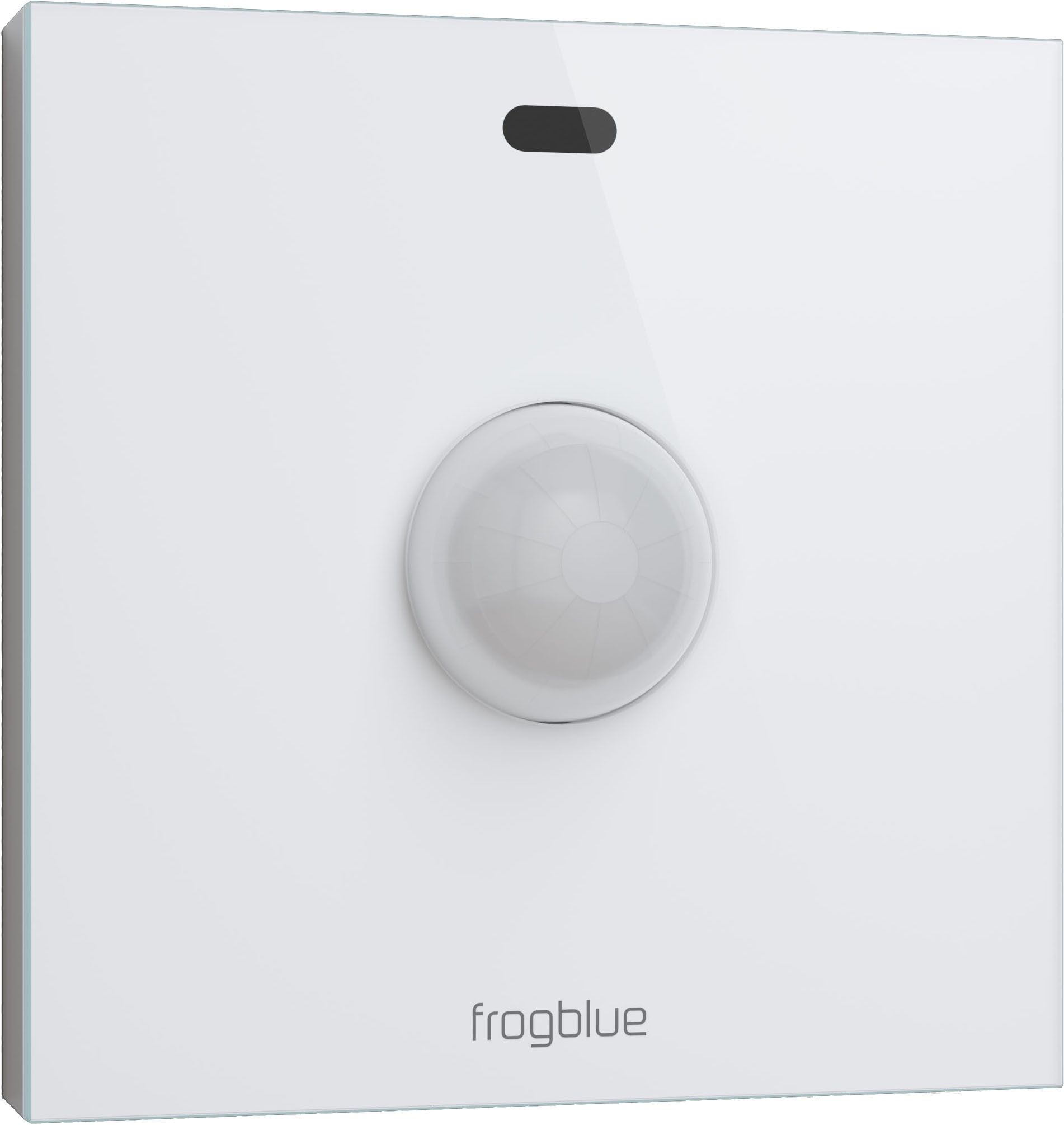 623251-frogblue-frogMotion jpg - Produktbild