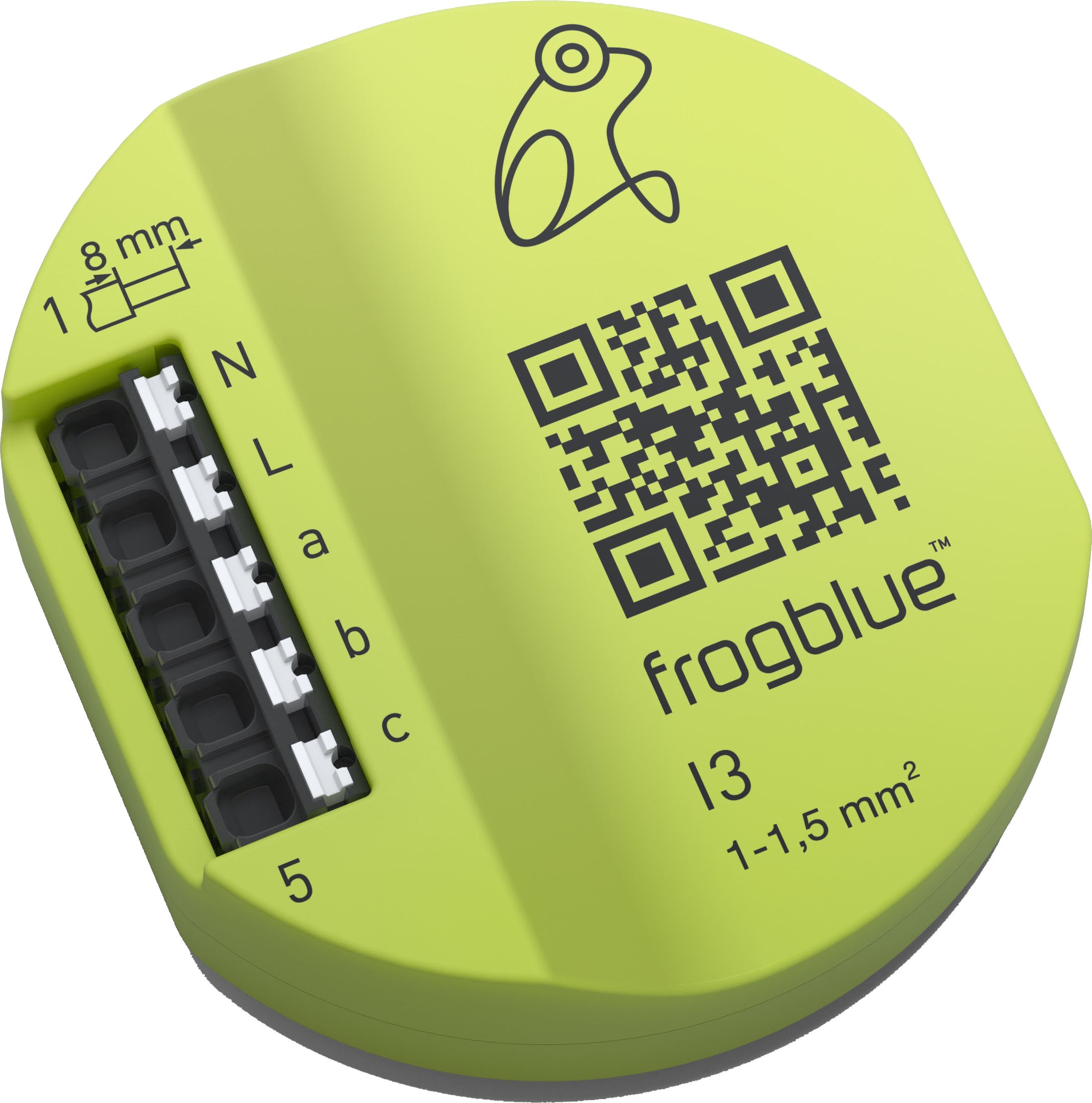 623251-frogblue-frogIn3-AC_RGB jpg - Produktbild