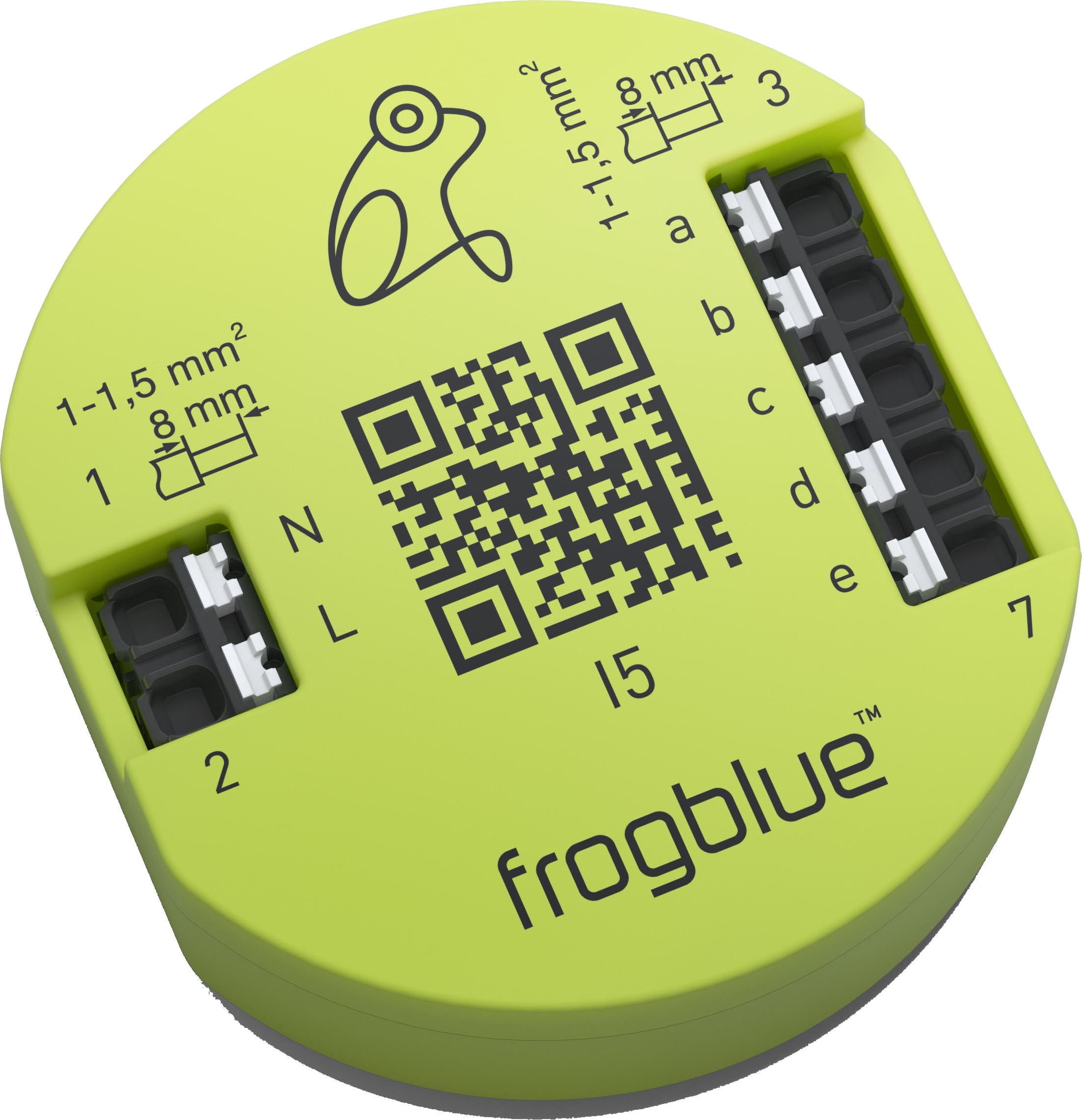 623251-frogblue-frogIn5-AC_RGB jpg - Produktbild