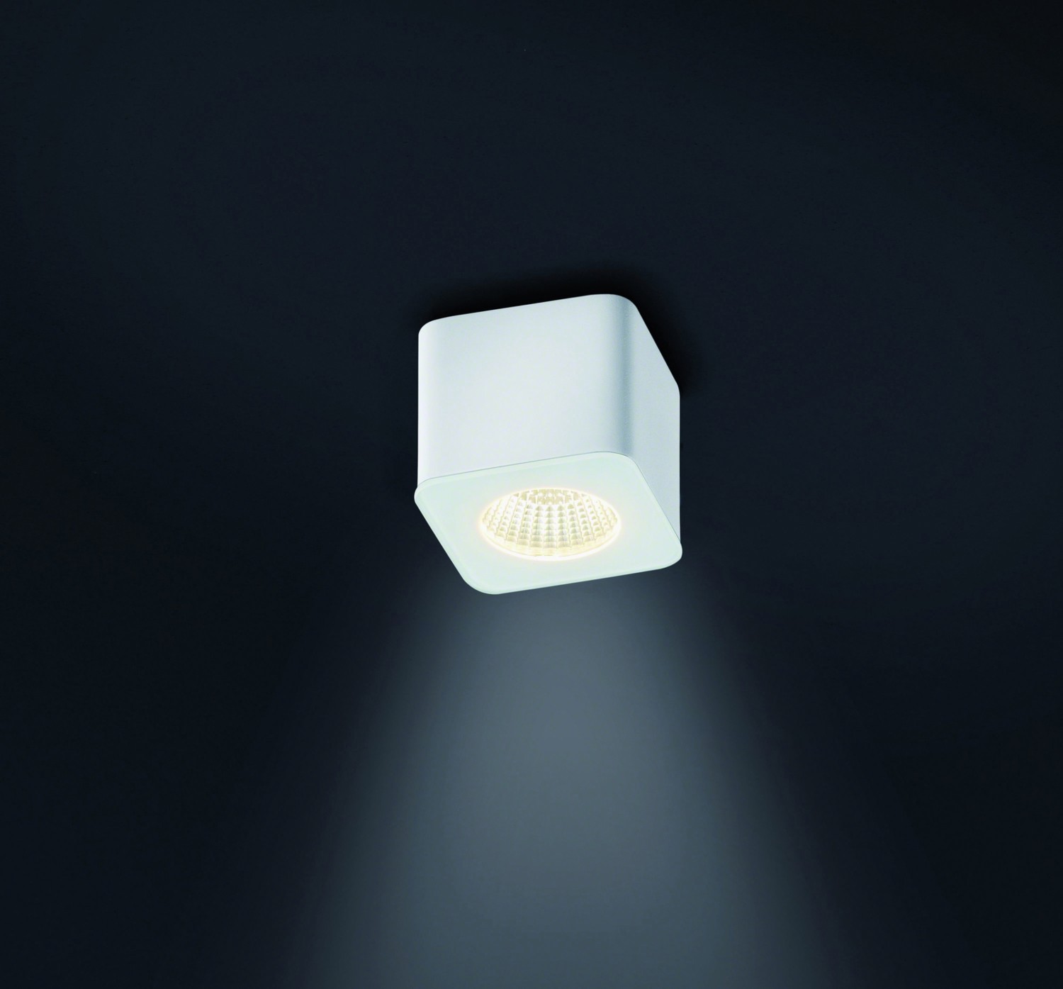 629750-OSO_15-1552 07 jpg - Produktbild