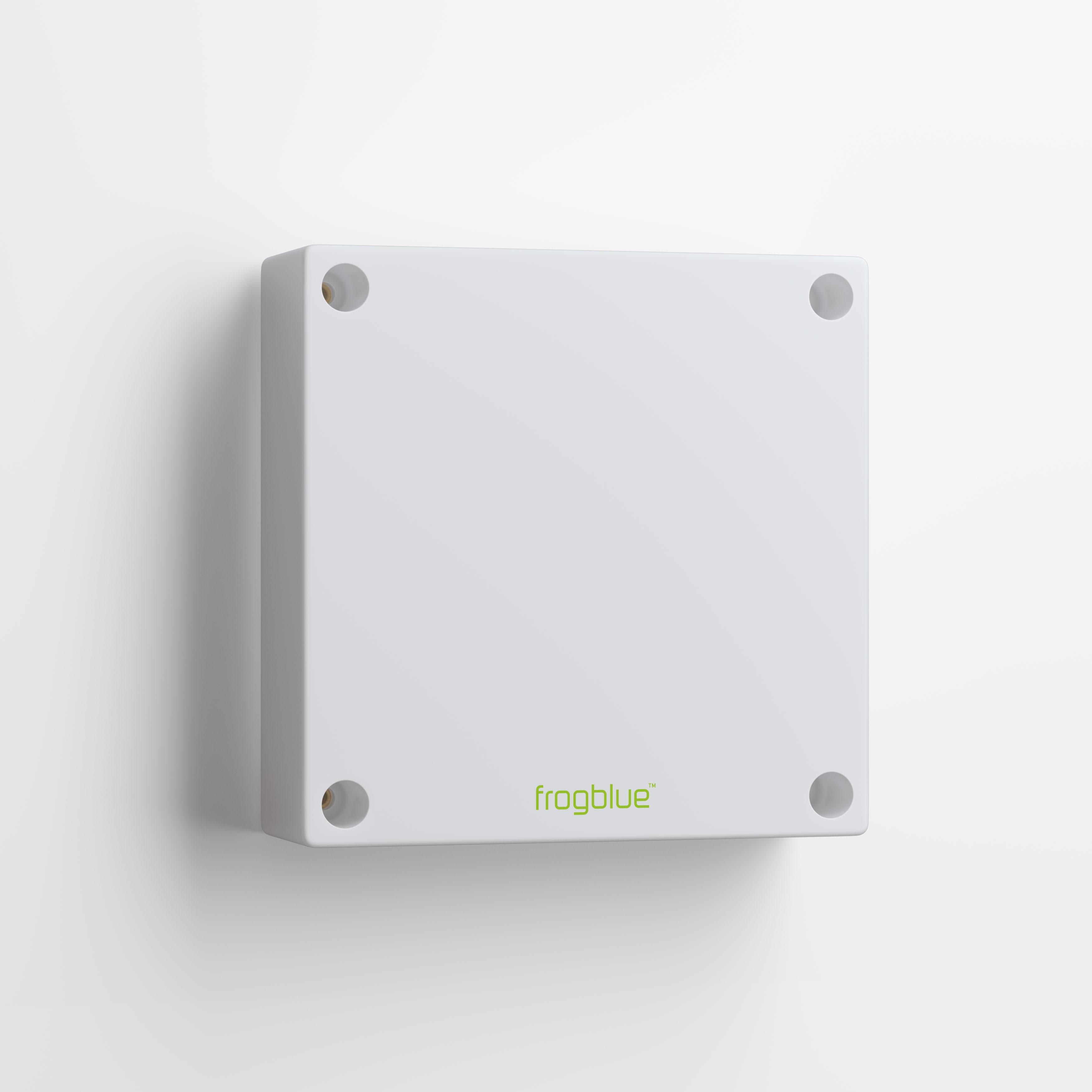 623251-frogblue-frogBoxOutdoor jpg - Produktbild