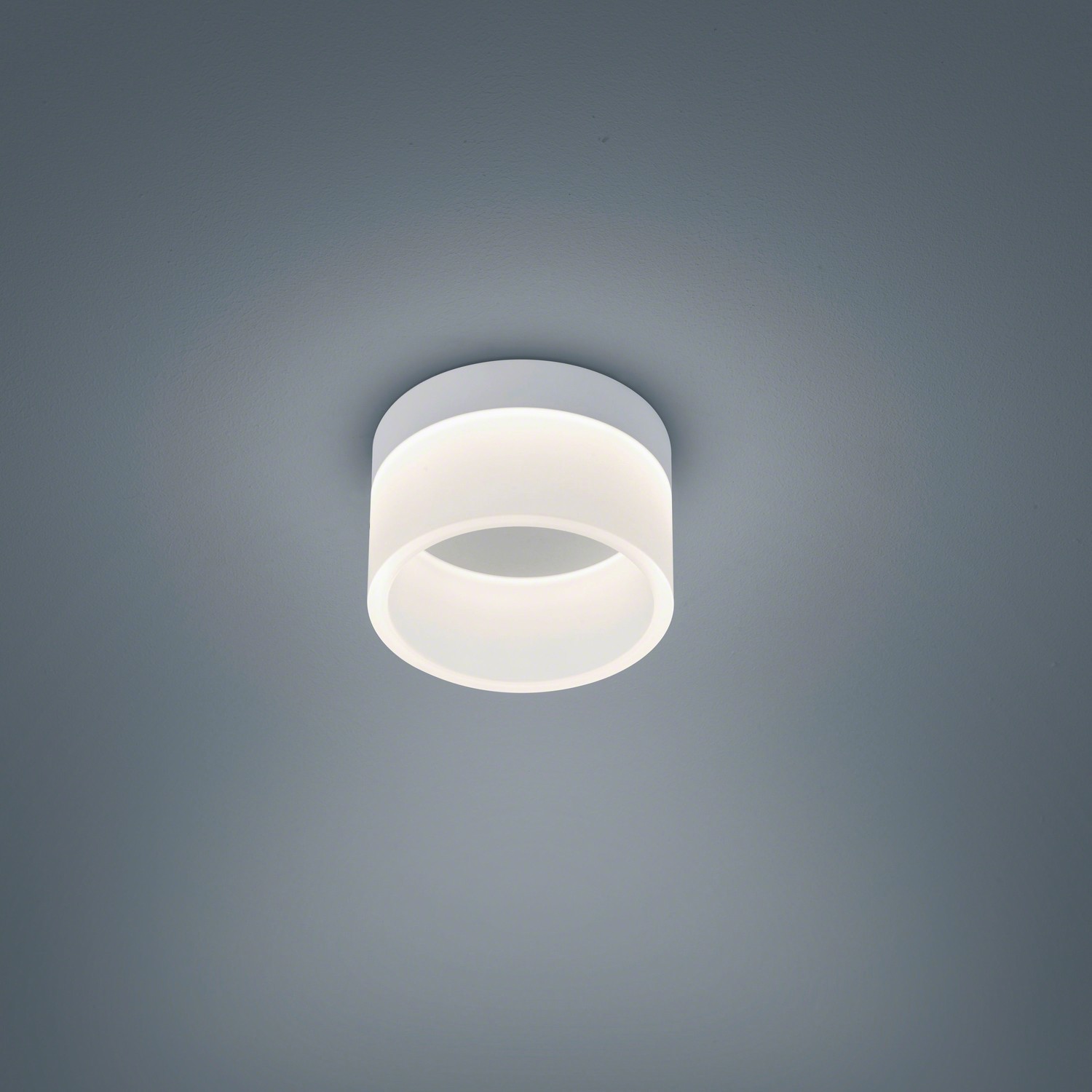 629750-LIV_15-1732 07 jpg - Produktbild