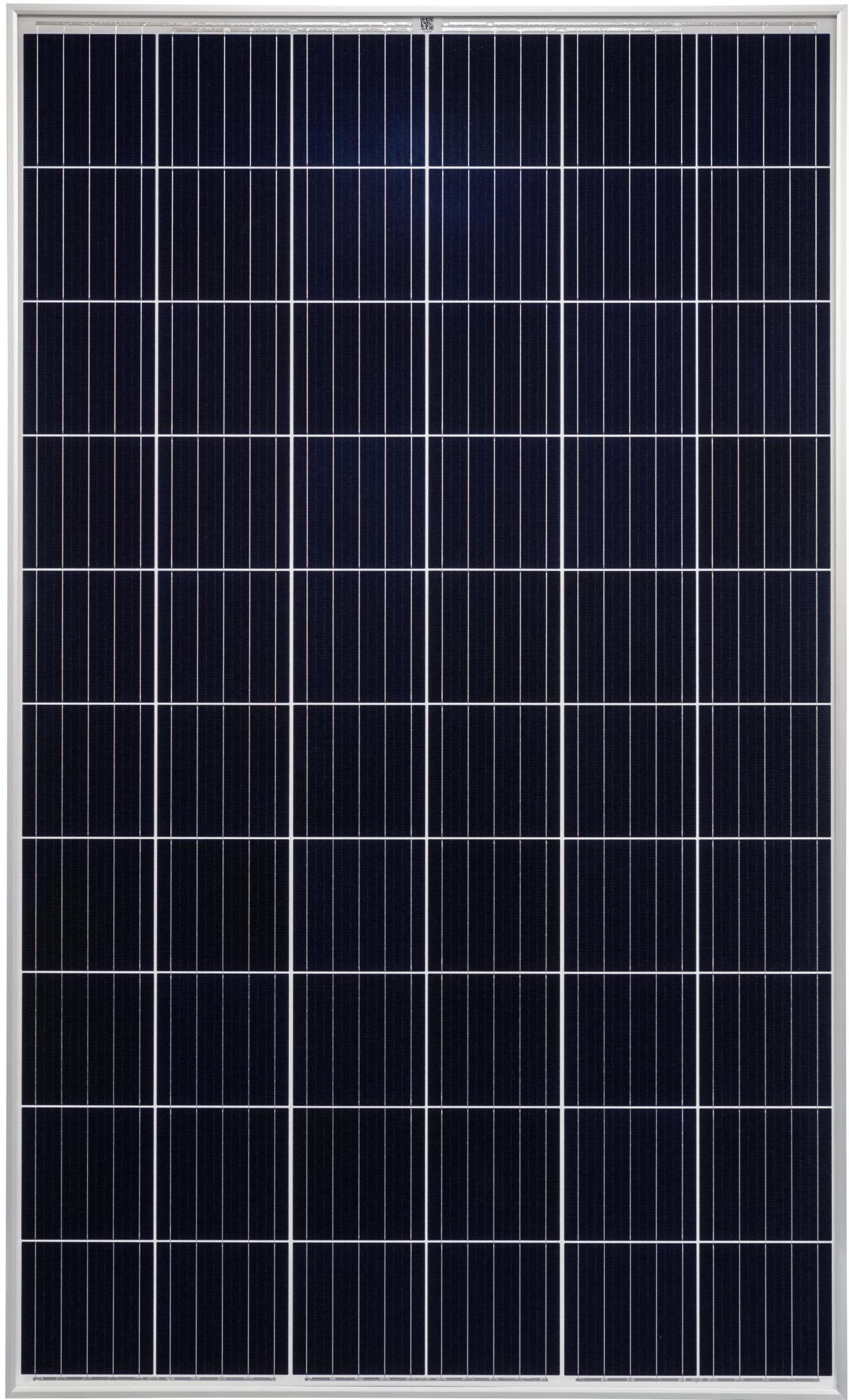 629302-Heckert-Solar-NeMo-2_0-60M-325-silber-vollquadratisch_liegend-1-2376x1440 jpg - Produktbild