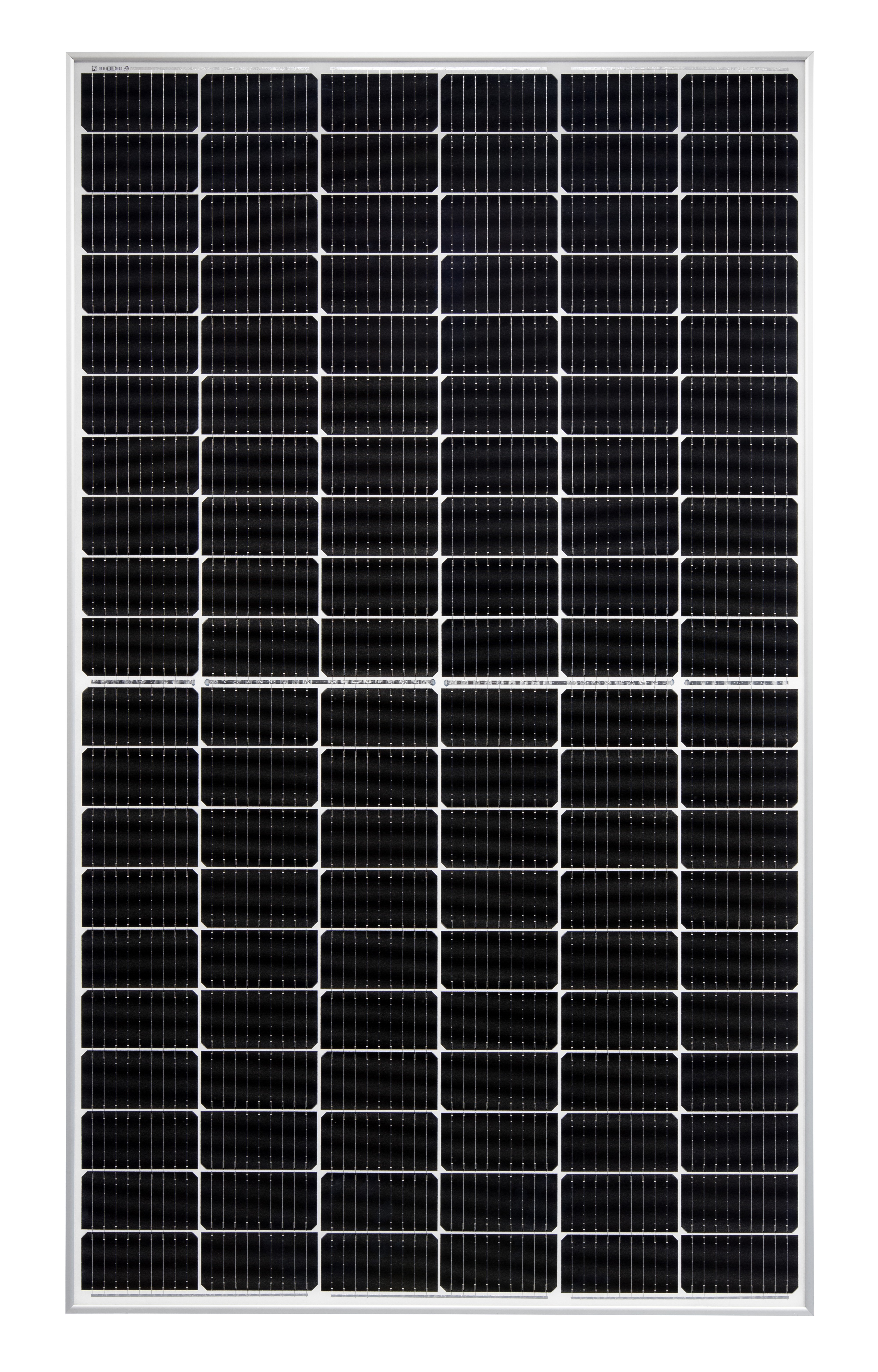 629302-NeMo 3 0 120M silber Frontalansicht ohne Schatten jpg - Produktbild